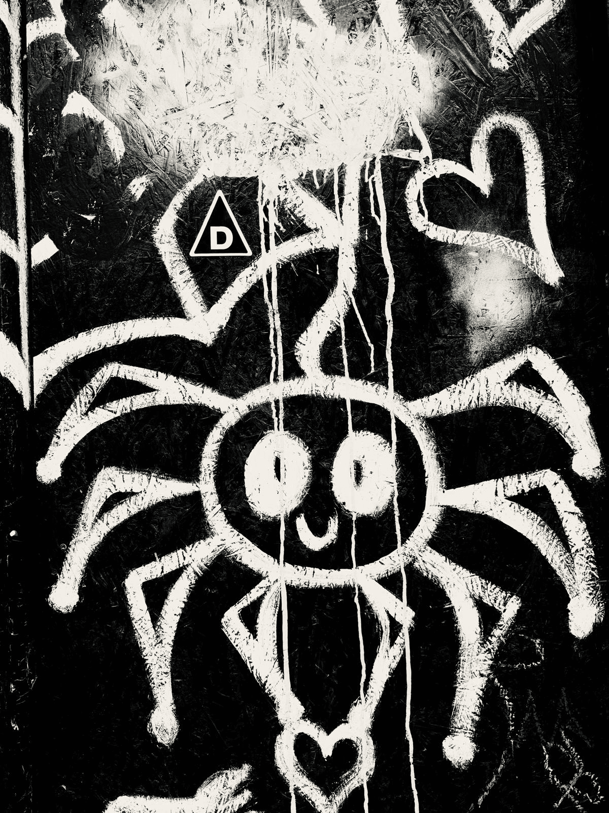 Cartoon grafitti spider